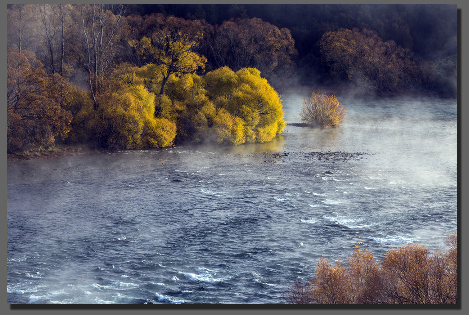 Wanaka Photo Safaris